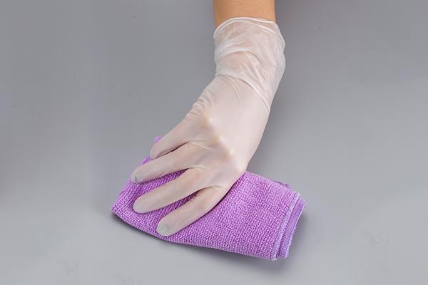 Clear Vinyl Disposable Gloves