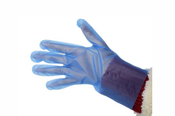 TPE Gloves Blue Color